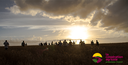 Photo d'un couché de soleil avec en contre jour des hommes et femmes dans un champ