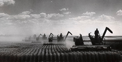 Photo d'un champ en 1947