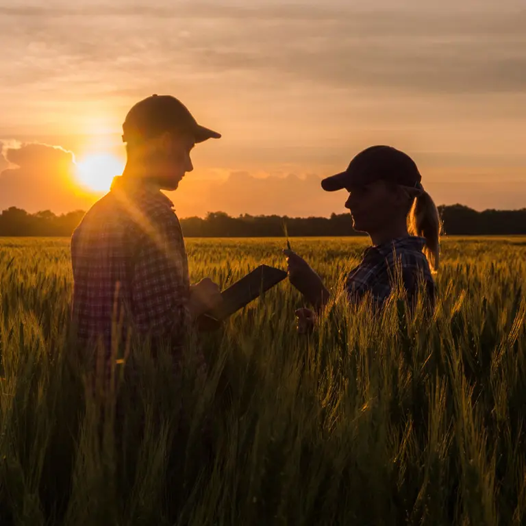 Photo de deux personnes avec des casquettes dans un champ de blé au couché du soleil