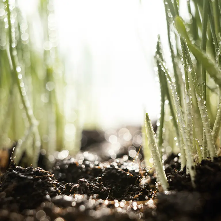 Preservation des ressources_biodiversité 650px