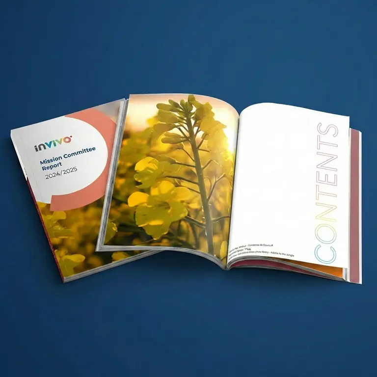 Mission Committee Report 24-25